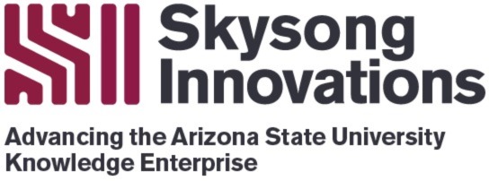 license.skysonginnovations.com